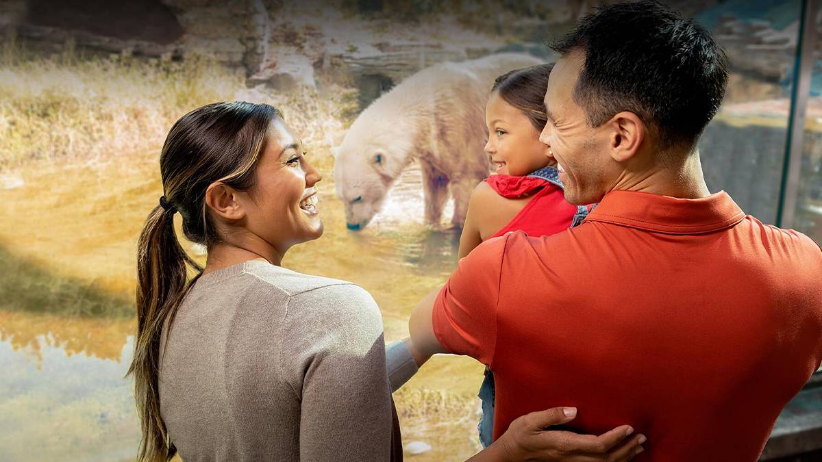 Close up of a family looking at a Polar Bear on a Inside Look Tour at San Diego Zoo in San Diego, California, USA